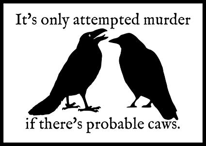 Crow murder